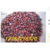景德鎮(zhèn)皂角籽50噸大貨質(zhì)量一流皂角籽粒飽滿