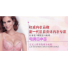 女性經濟的時代，蘭黛麗莎內衣加盟火熱進行