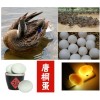 唐桐蛋 鴨蛋 唐河特產(chǎn) 南陽特產(chǎn) 禮盒裝20枚 鮮蛋68元