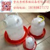 真空飲水器 養(yǎng)殖設(shè)備 肉雞飲水器 蛋雞飲水器 雞用自動飲水器