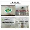 石榴樹苗基地  成活率高  成活率100%