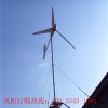 定制220v離網(wǎng)家用風(fēng)力發(fā)電機(jī)1000w小型風(fēng)力發(fā)電機(jī)批發(fā)價(jià)