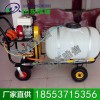 大推車噴藥機(jī)，大推車噴藥機(jī)廠家 農(nóng)機(jī)價格