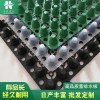 3公分蓄排水板鋪設(shè)注意事項 綠化用排水板