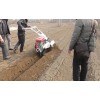 小型多功能埋藤機(jī)小型柴油旋耕機(jī)起壟機(jī)大蔥開溝培土機(jī)