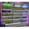 襄樊美容院美容護(hù)膚保養(yǎng)化妝品產(chǎn)品貨源批發(fā)供應(yīng)，種類全，保效果