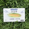 廠家批發 可降解一次性手套
